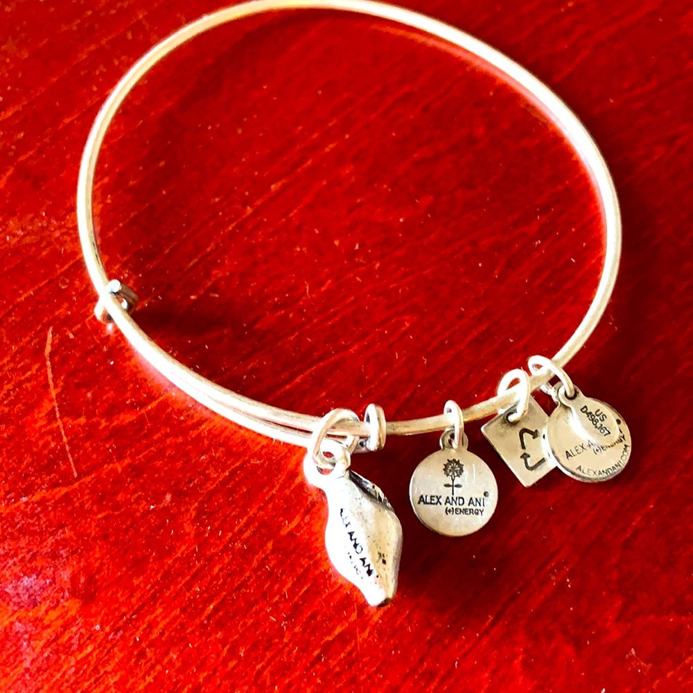 Alex and Ani Zest for Life Bracelet
